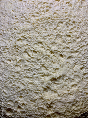 Close-up macro of fresh yeast dough with visible air bubbles and porous texture. Natural beige dough surface during fermentation. Abstract food background with organic pattern, baking process detail.
