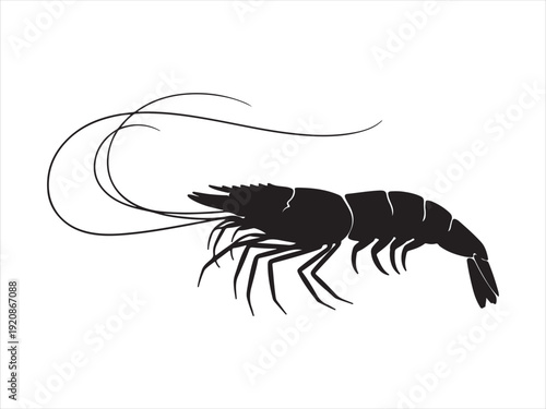 A shrimp silhouette vector icon, Shrimp vector art black and white
