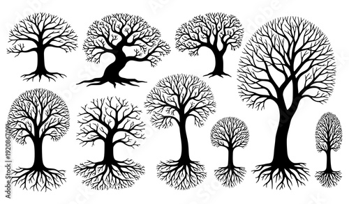 Black Naked Trees and Root Silhouettes – Hand Drawn Forest Illustration Set