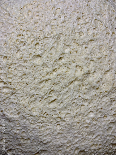 Close-up macro of fresh yeast dough with visible air bubbles and porous texture. Natural beige dough surface during fermentation. Abstract food background with organic pattern, baking process detail.