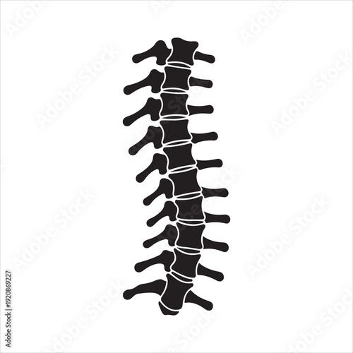 Human spine silhouette icon isolated silhouette illustration. Human Spine Silhouette Icon, Vertebral Column vector Illustration