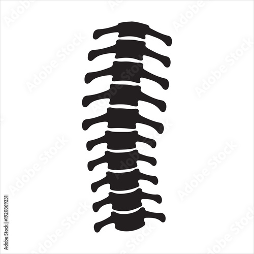 Human spine silhouette icon isolated silhouette illustration. Human Spine Silhouette Icon, Vertebral Column vector Illustration