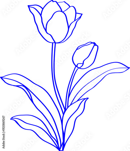  Botany icons black white handdrawn sketch.eps