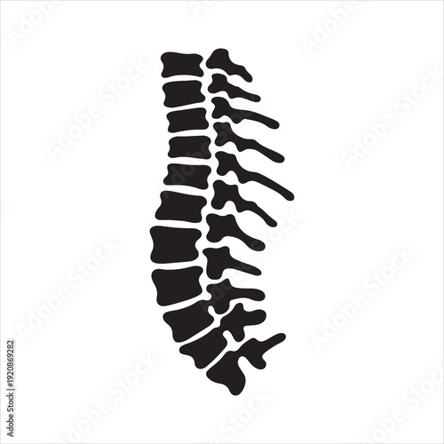 Human spine silhouette icon isolated silhouette illustration. Human Spine Silhouette Icon, Vertebral Column vector Illustration