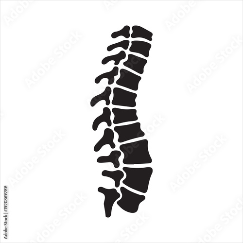 Human spine silhouette icon isolated silhouette illustration. Human Spine Silhouette Icon, Vertebral Column vector Illustration