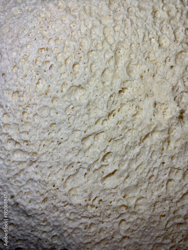 Close-up macro of fresh yeast dough with visible air bubbles and porous texture. Natural beige dough surface during fermentation. Abstract food background with organic pattern, baking process detail.