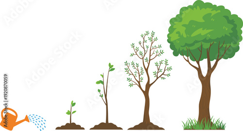 A sequence of a small green plant growing into a large green tree with a watering can on the left