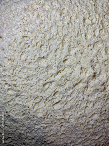 Close-up macro of fresh yeast dough with visible air bubbles and porous texture. Natural beige dough surface during fermentation. Abstract food background with organic pattern, baking process detail.