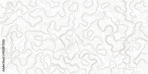 Gray topographic map lines on white background for design and texture  abstract pattern