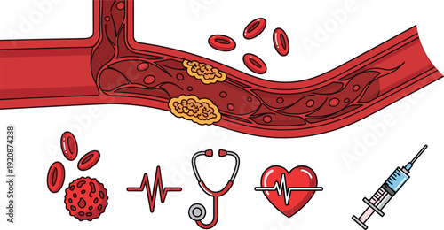 Medical set with blood vessel anatomy, red blood cells, stethoscope, heart rate, syringe and medical icons on white background.