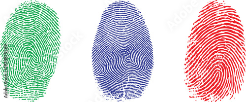 Colorful identity verification fingerprints 