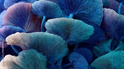 Wallpaper Mural Abstract close-up of mushroom forest textures with natural organic patterns, earthy tones, and detailed plant structures, evoking nature, growth, and a serene woodland atmosphere Torontodigital.ca