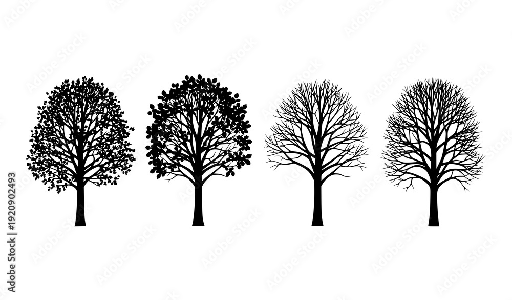 Obraz premium Four Tree Silhouettes Showing Seasonal Transition – Nature and Environmental Concept Vector