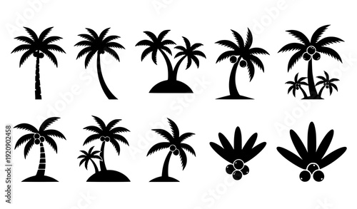 Minimal Black Coconut Palm Tree Symbols – Tropical Nature Vector Icon Set