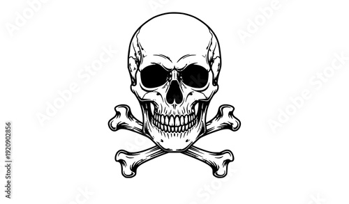 Detailed human skull with crossbones vector illustration