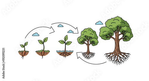 Illustration showing the growth stages of a tree from seedling to maturity with rain, symbolizing the International Day of Forests and the importance of flora and fauna in forest ecosystems.
