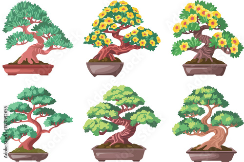 Decorative Bonsai Tree Colorful Outline Illustration