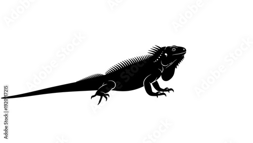 Black Silhouette of Iguana