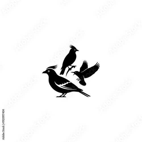 Three Birds in Flight Silhouette