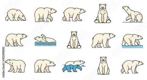 A set of vector illustrations of polar bears in various poses on a white background for Polar Bears International Day design and event promotions.