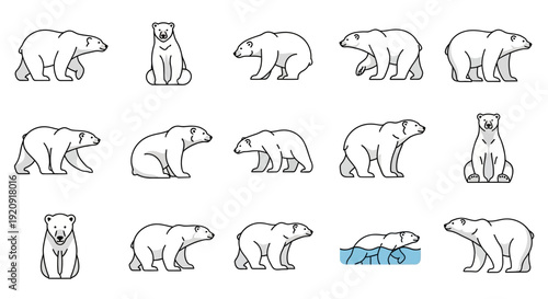 A set of 15 black and white vector illustrations of polar bears in various poses on a white background, celebrating Polar Bears International day with a design event theme.