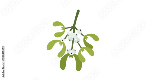 Mistletoe Vector Illustration, Flat Design for Christmas and Holiday Season