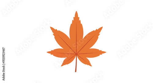Orange maple leaf vector illustration, autumn season design, nature graphic, fall foliage, isolated element