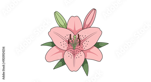 Pink Lily Flower Image, Photography, Floral Design, Botanical Illustration for Spring