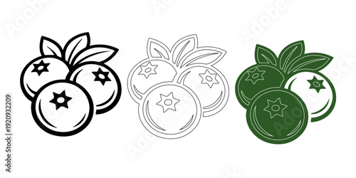 blueberry fruit icon