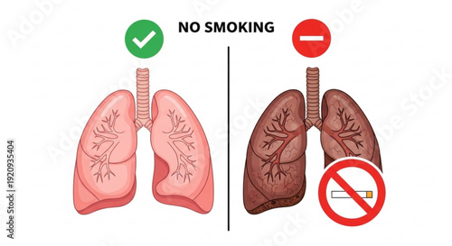 Healthy vs smoker lungs no smoking concept lung health comparison