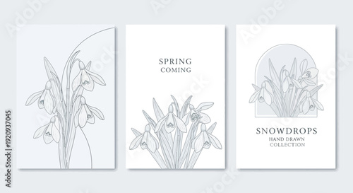 Elegant Snowdrop Flower Illustrations Series for Spring and Botanical Collections