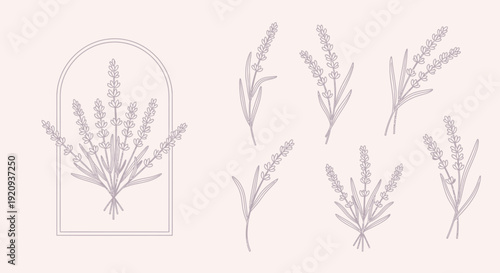 Elegant Lavender Art Vector Illustrations for Design and Branding