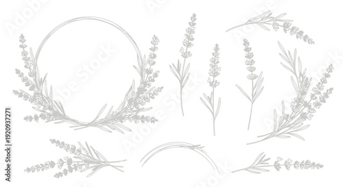Hand-Drawn Lavender Botanical Illustrations and Wreath Elements in Soft Gray Tones