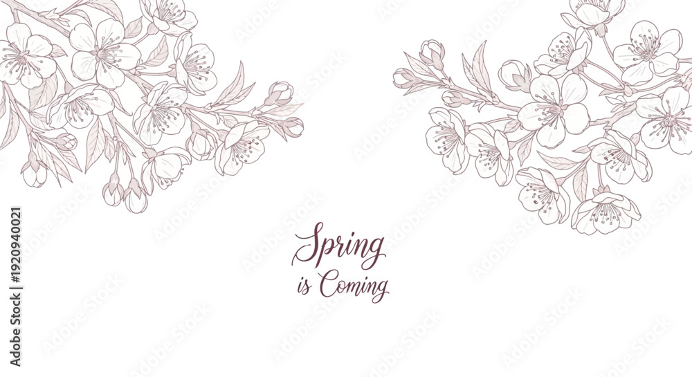 Obraz premium Elegant Cherry Blossom Branch with Buds and Flowers, Spring is Coming Text
