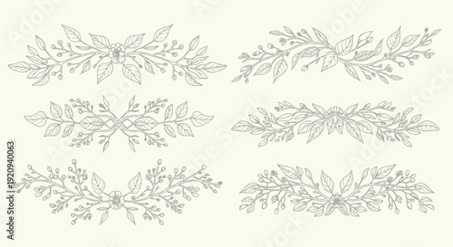 Elegant Floral Botanical Vector Borders and Ornaments for Decorative Design Elements