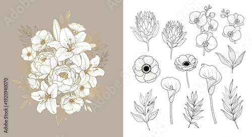 Elegant Gold and White Floral Art: Bouquet and Individual Flowers