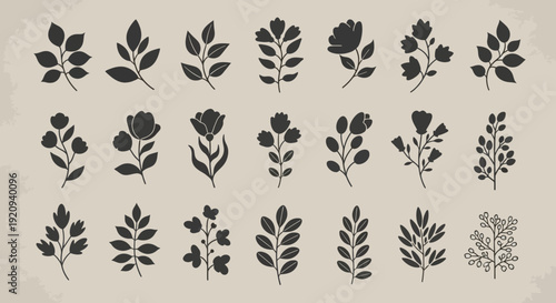 Collection of Delicate Botanical Silhouettes, Elegant Floral and Leaf Vector Graphics