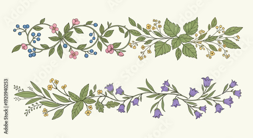 Elegant Floral Borders with Blueberries, Pink Flowers, and Bluebells, Vector Illustration