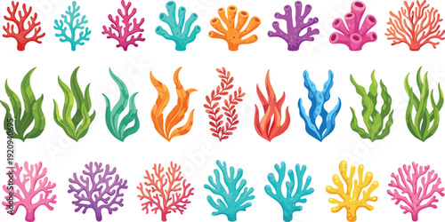 Large Collection of Colorful Underwater Coral and Seaweed Elements for Marine Biology Education Ocean Life Illustrations and Tropical Reef Aquarium Graphic Design