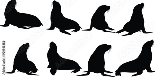 Black sea lion silhouette vector illustration featuring multiple poses, decorative design, isolated background, perfect for stock content discoverability