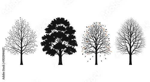 Four trees in different seasonal stages from budding to bare