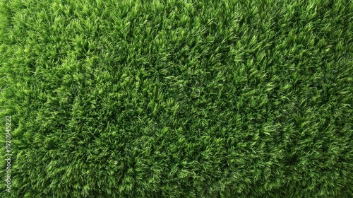 Wallpaper Mural Lush Green Artificial Grass Background for Landscaping, Gardening, and Home Decor Projects with Soft Texture and Vibrant Color for Outdoor and Indoor Use Torontodigital.ca