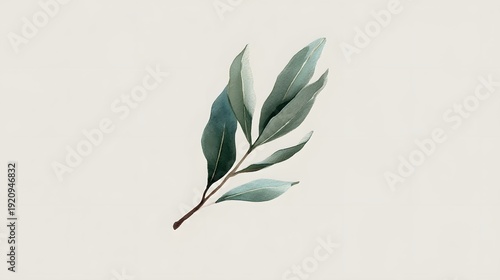 Close up shot of a vibrant leafy plant branch with delicate shapes and a serene minimalist backdrop
