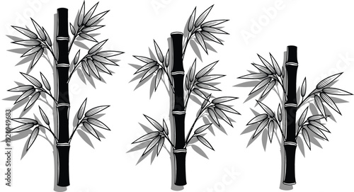 Black and white woodcut style illustration of three bamboo stalks with detailed leaves and shadows for zen and nature concepts