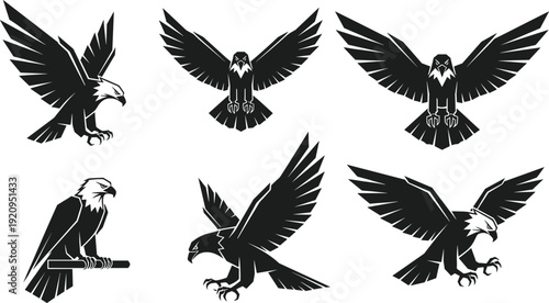 Eagle silhouettes set in flying landing and perched poses representing wildlife predator bird illustration