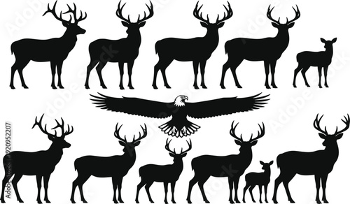 Set of black silhouettes of wild deer bucks and flying bald eagle isolated on white background, cad drawing flat vector illustration for nature design