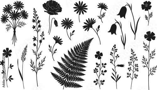 Set of black wild flower silhouettes and fern leaf isolated on white background, cad drawing flat vector illustration of meadow plants for design
