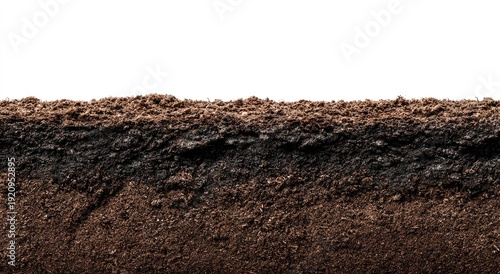 A cross-section of earth showcasing various soil layers, topsoil, and subsoil