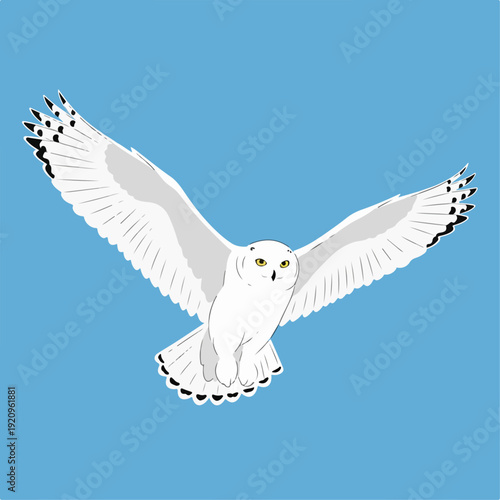 Snow owl vector illustration blue background