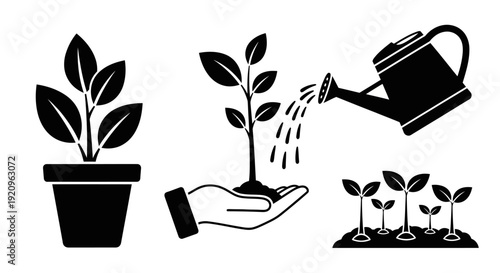 Set of Vector Icons Representing Plant Growth, Gardening, and Cultivation Stages